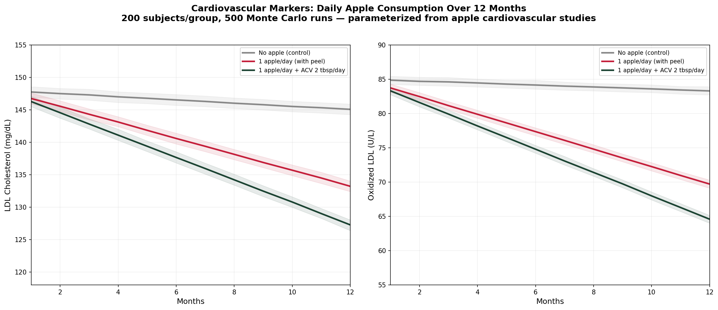 Cardiovascular simulation