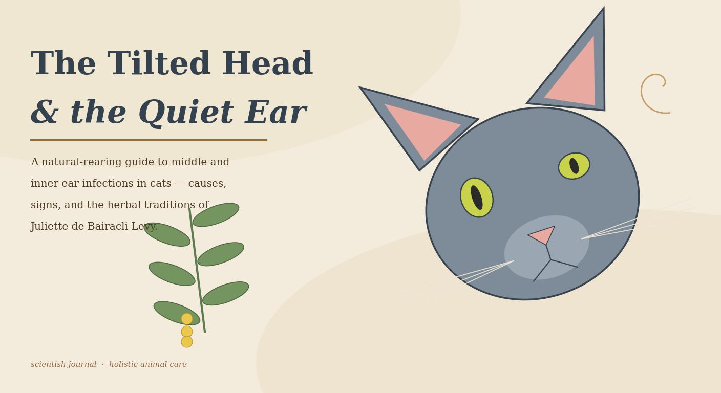 A slate-grey cat with a tilted head beside a sprig of mullein — natural rearing for feline ear infections