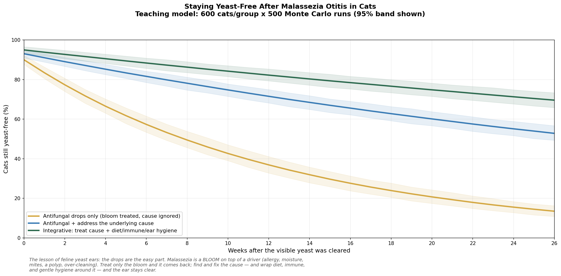 Staying yeast-free after Malassezia otitis in cats — why treating the cause beats treating the bloom
