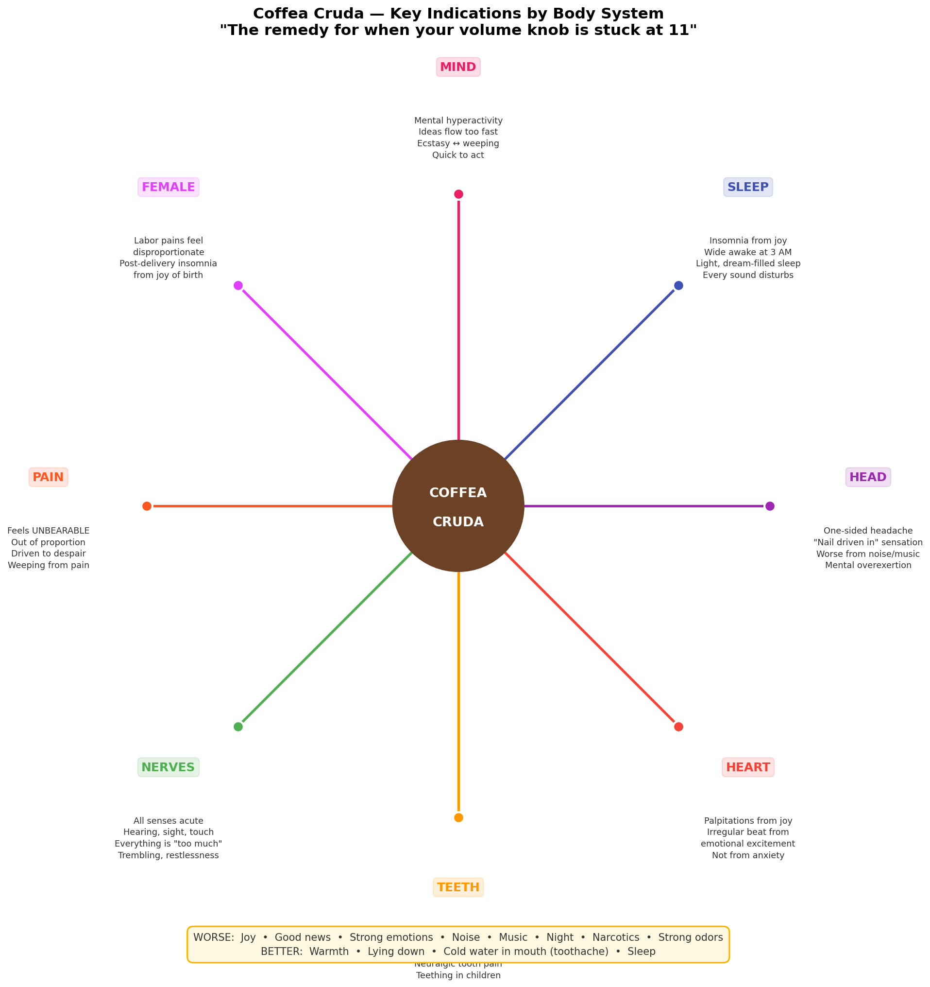 Key indications for Coffea cruda by body system