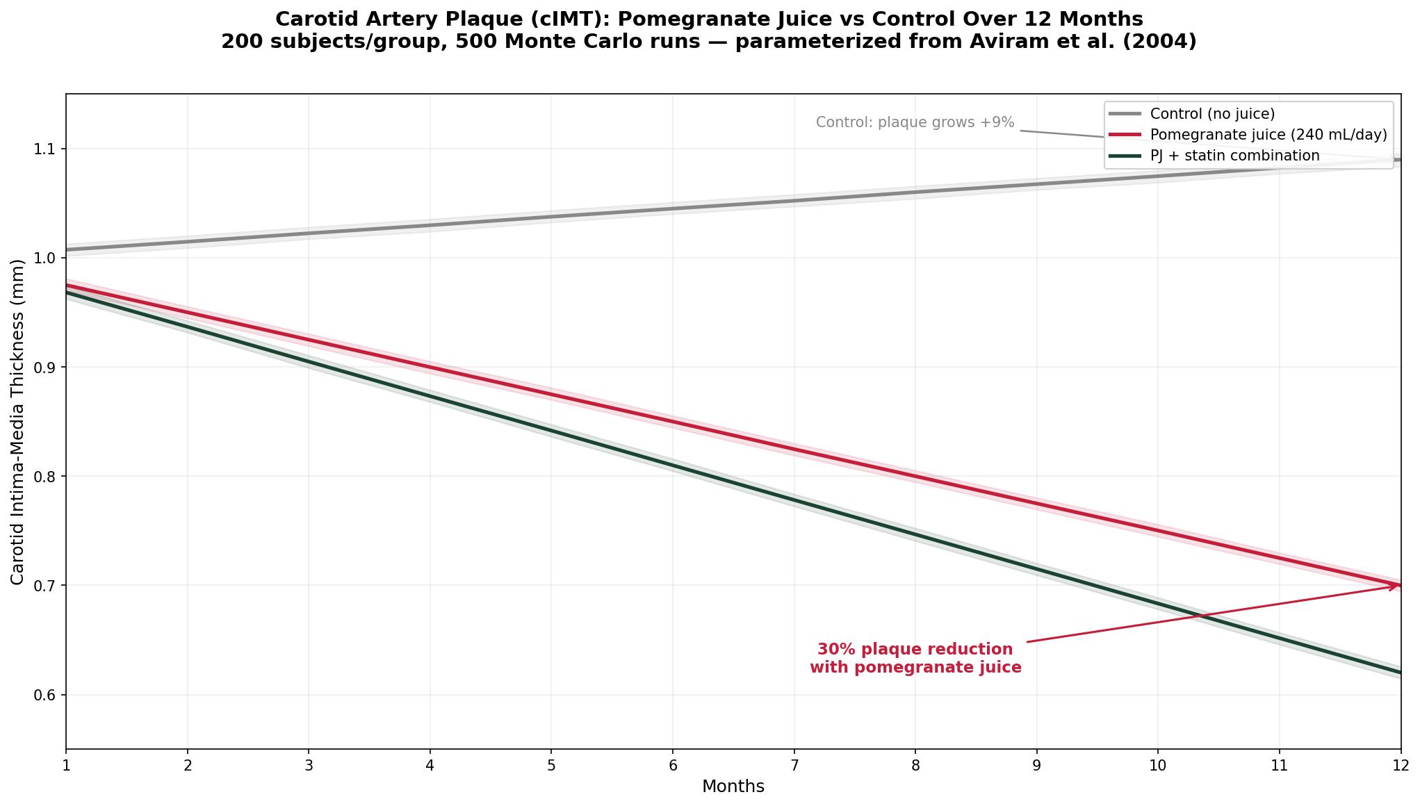 Carotid artery plaque simulation