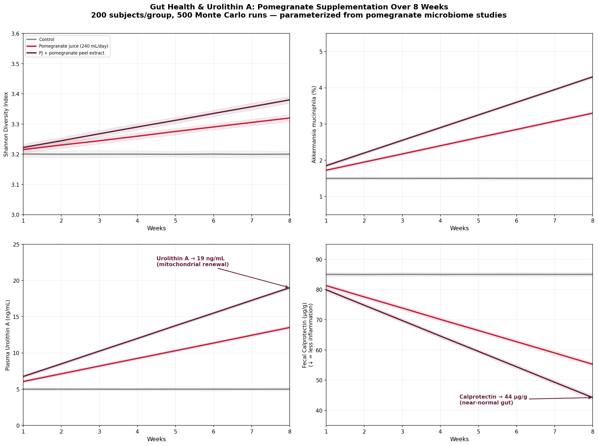 Gut microbiome simulation